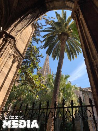 Kathedrale-LaSeu